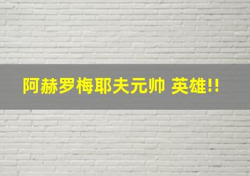 阿赫罗梅耶夫元帅 英雄!!